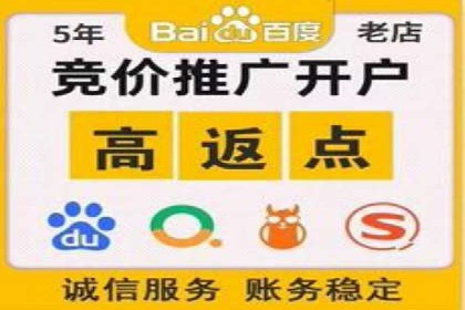 行业精英的SEM竞价经验与案例分享